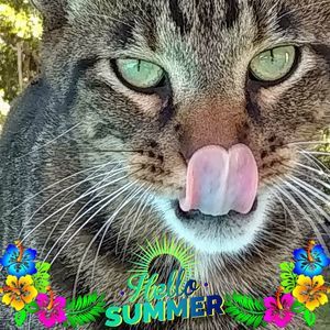 Meet your Posher, Julianne